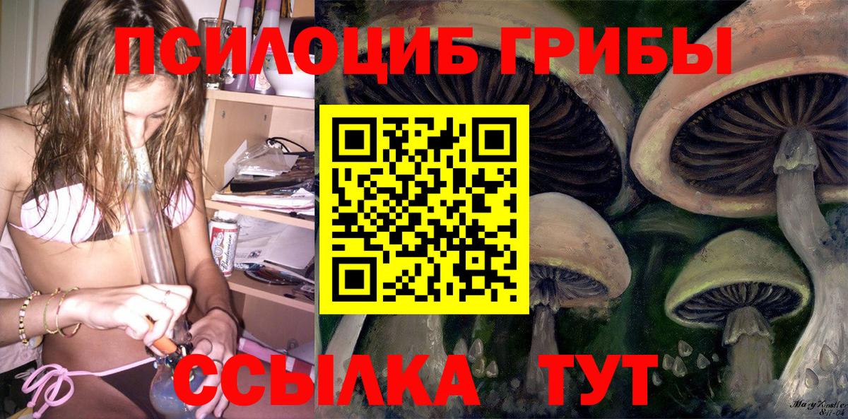 Псилоцибиновые грибы GOLDEN TEACHER Выборг