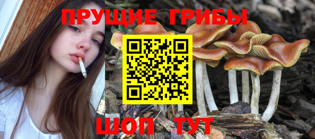 Галлюциногенные грибы мицелий  Вход с VPN  Выборг 